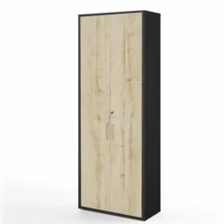 Aktenschrank Big Profi Office