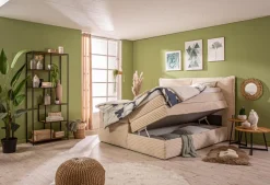 Boxspringbett Madden 180 x 200 cm