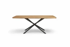 Esstisch Helmond 200 x 100 cm