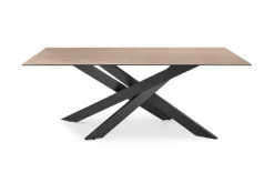 Esstisch Baltimore 200 x 100 cm