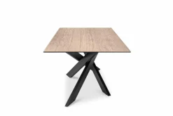 Esstisch Baltimore 200 x 100 cm