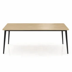 Esstisch Core 200 x 100 cm