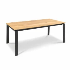 Esstisch ETQ92 190 x 100 cm