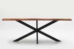 Esstisch Guru 200 x 100