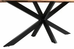 Esstisch Guru 200 x 100