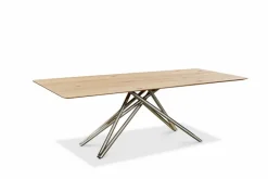 Esstisch Helmond 220 x 100 cm