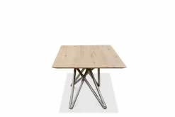 Esstisch Helmond 220 x 100 cm