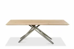 Esstisch Helmond 220 x 100 cm