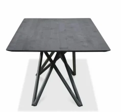 Esstisch Helmond 240 x 100 cm