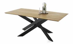 Esstisch Lakewood 200 x 100 cm