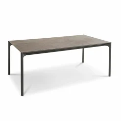 Esstisch mit Auszug ET236 190/290 x 100 cm