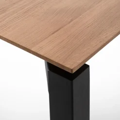 Esstisch mit Auszug Float T0501 200/300 x 100 cm