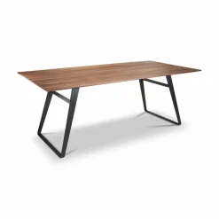 Esstisch Tavia 4883-83-080 200x100cm