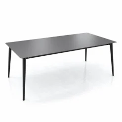 Esstisch Terra 220 x 100 cm