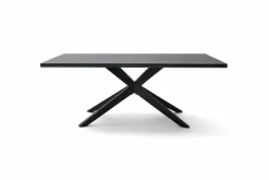 Esstisch Tiama 220 x 100 cm