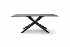 Esstisch Tiama 180 x 100 cm