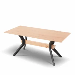 Esstisch T1002-1K 220 x 100 cm