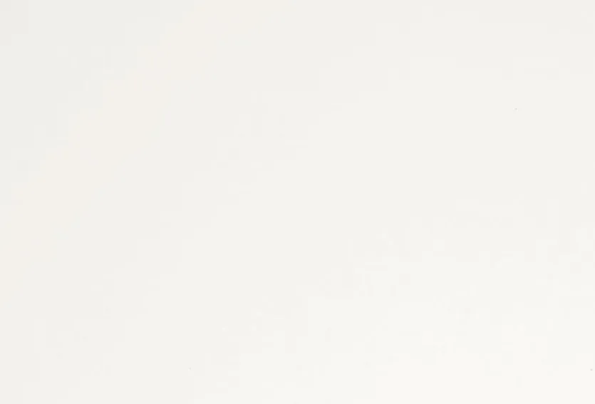 Etagenbett Tiago 120 x 200 cm