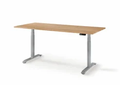 Schreibtisch elektrisch Durable Office 120 x 80 cm
