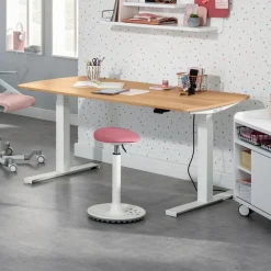 Schreibtisch e-lion 1