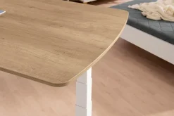 Schreibtisch e-lion 1