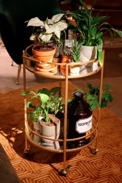 Servierwagen Emilia 85801