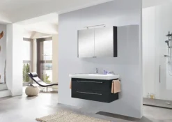 Spiegeltürenschrank OPTIbasic 4000