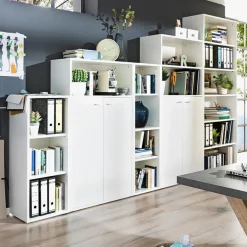 Türenpaar Mister Office 2er Set