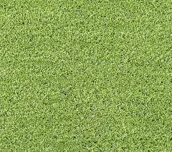 WC-Vorleger Seattle 55 x 50 cm